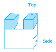 Page 190 Chapter 6 Class 8th NCERT Exemplar